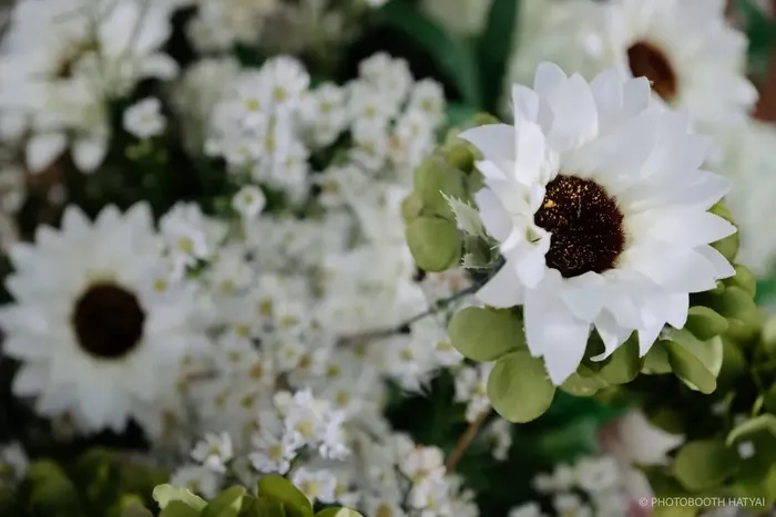 แจกันดอกไม้ดีไซน์พรีเมียม ของขวัญแสดงความยินดี โดยร้านดอกไม้หาดใหญ่ Honeybee Flowers